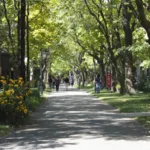 בדקתי את הטענה על ארבעה מזלות בלבד, וגיליתי תוצאות מפתיעות ומזעזעות שלא צפיתם להם.