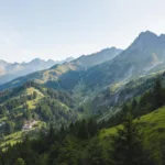 גלה את הסוד לגידול עגבניות מוצלח שהפך את היבול שלי למשמעותי ושונה לחלוטין.